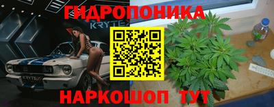 СК Краснокаменск