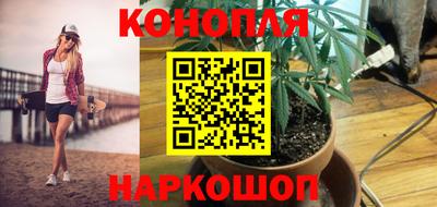 прущие грибы Краснознаменск