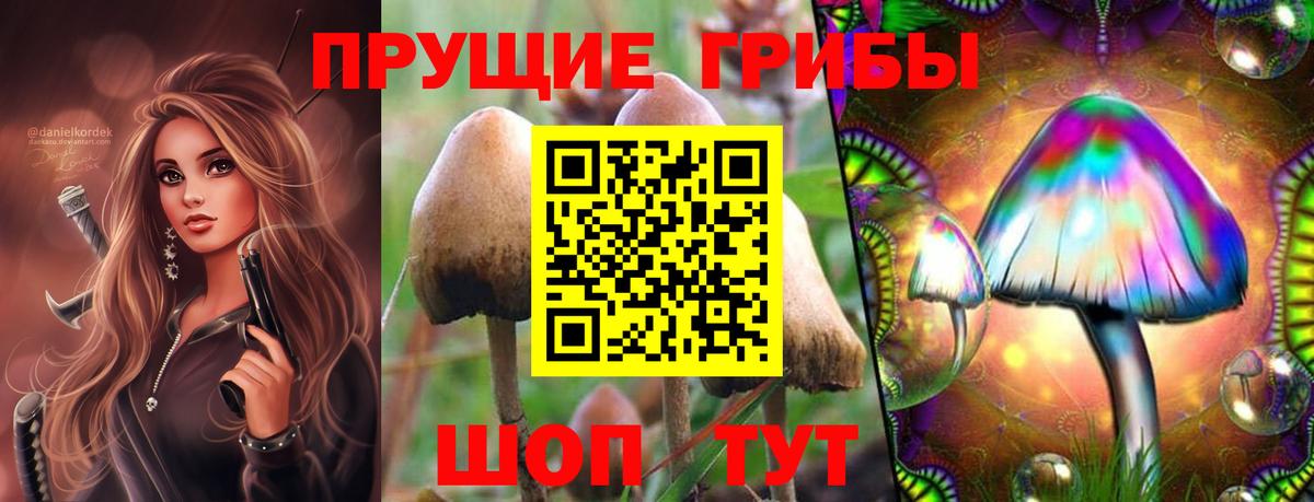 Лабытнанги  Галлюциногенные грибы Cubensis  Галлюциногенные грибы Cubensis  Вход с VPN 