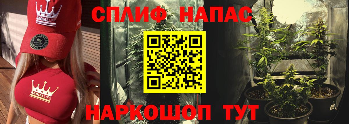 Каннабис гибрид Лабытнанги